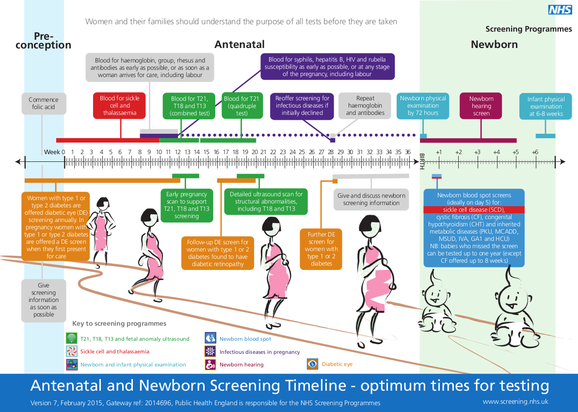 Antenatal and Newborn Screening Program