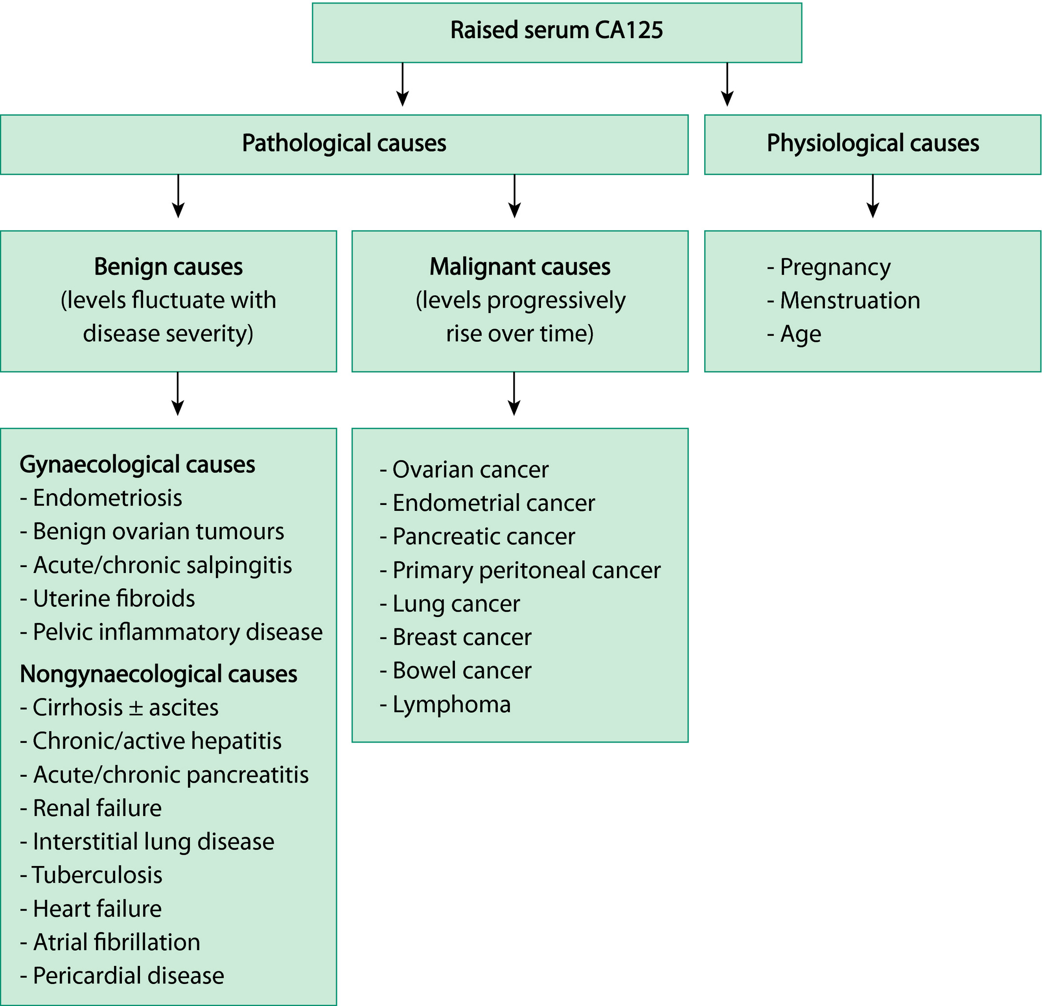 Ca125 - Raised [Causes]