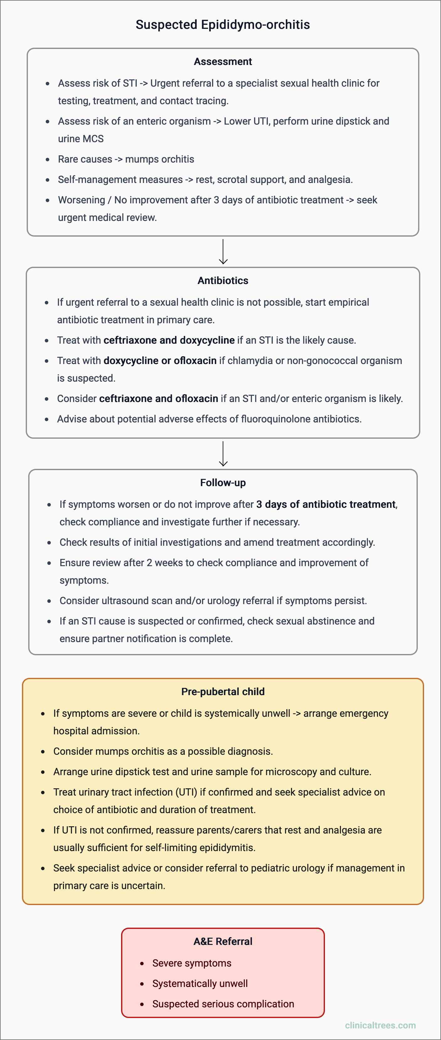 Epididymo-orchitis - Assessment and Management
