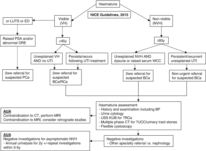 Haematuria