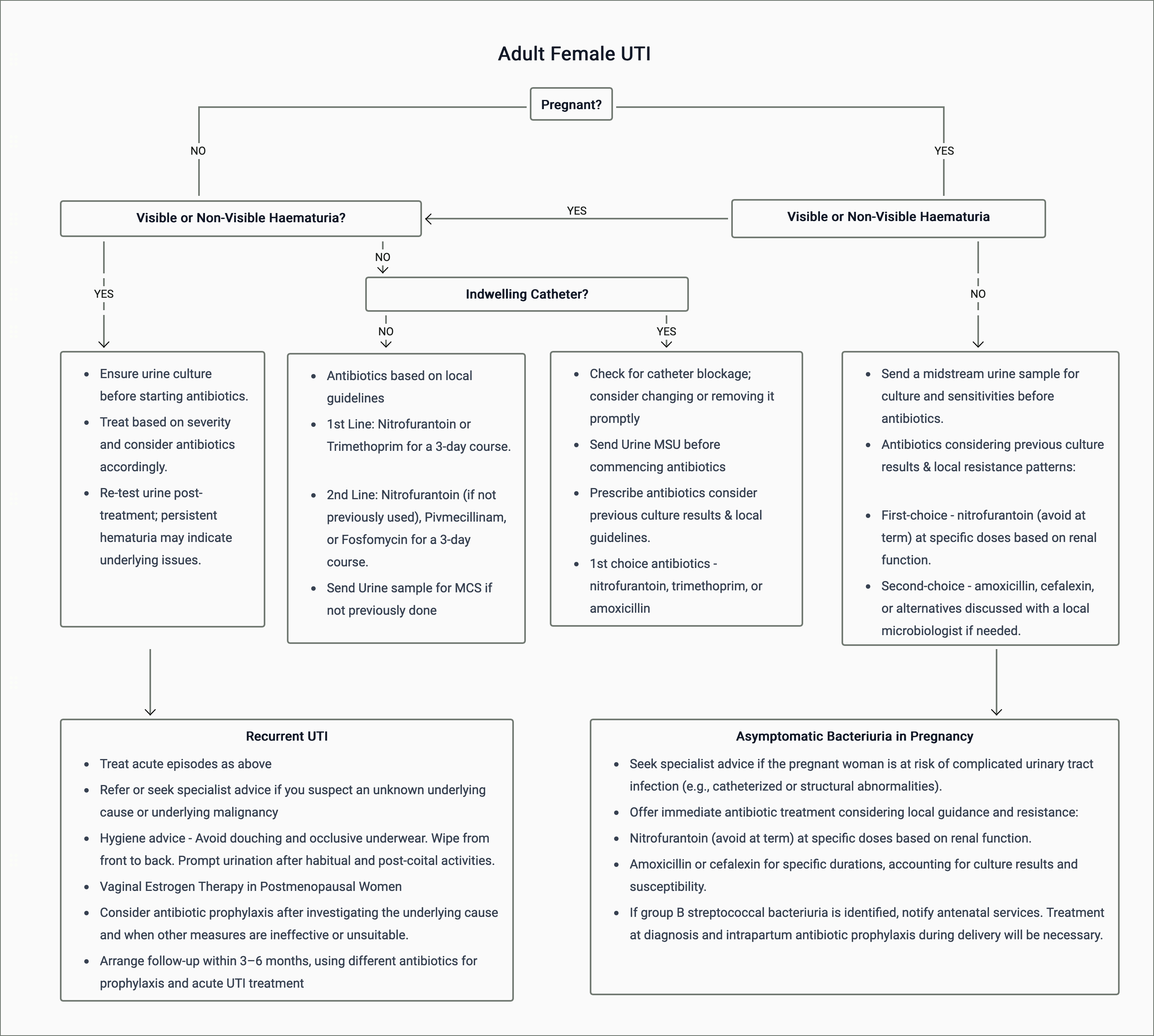 Lower UTI - Adult Female (Pregnant and Non Pregnant)