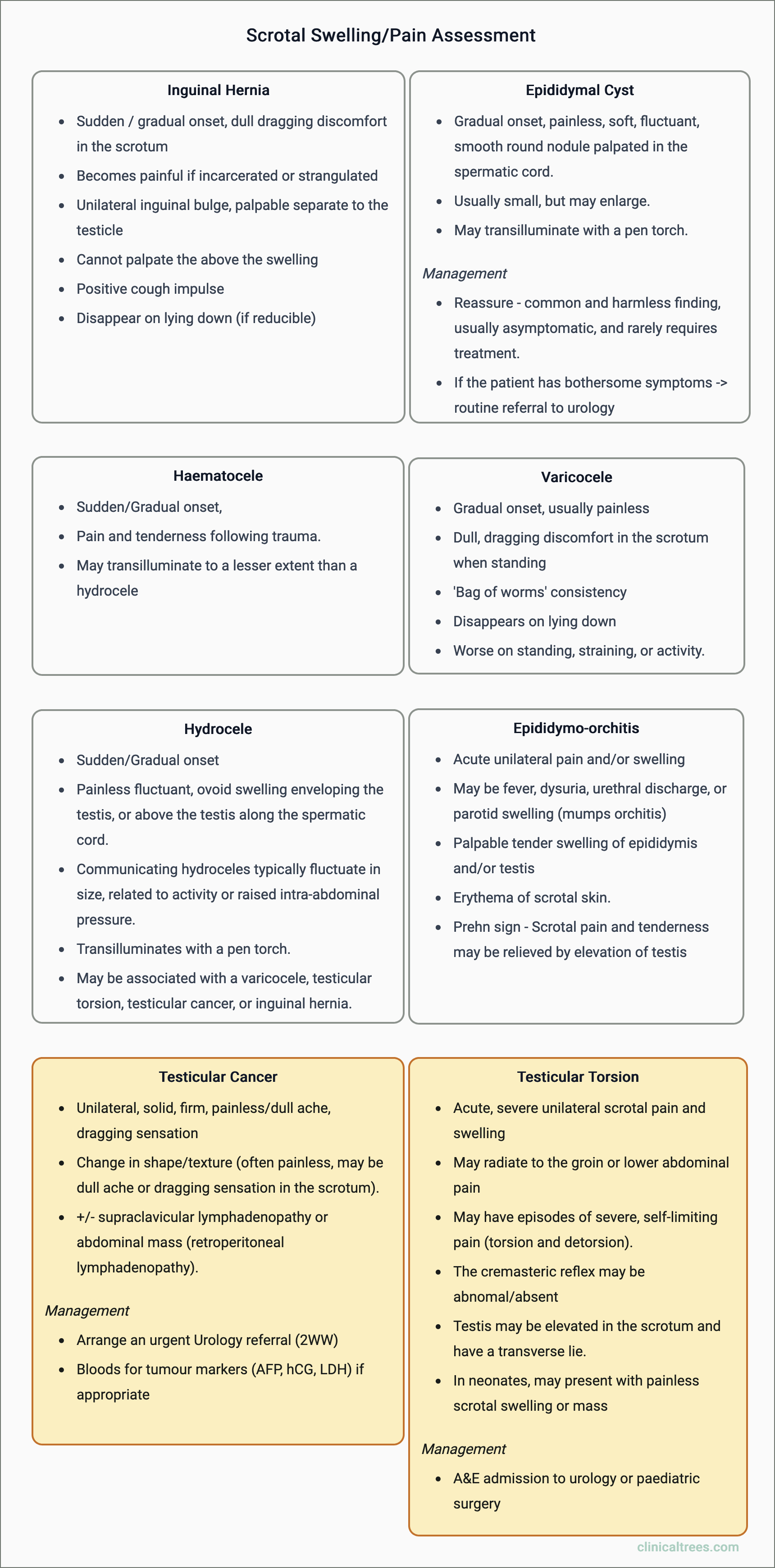 Scrotal Swelling/Pain Differentials